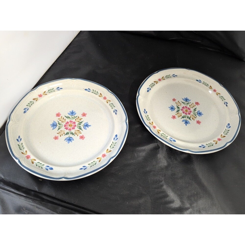 International " The American Patchwork" Collection Stoneware 12" 2 Plate SY-7565
